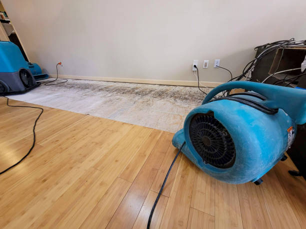 Professional Sewage Cleanup technician working in Ravenel, SC